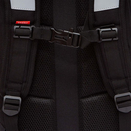 RAw-595-2 Рюкзак школьный - Grizzly фото 39