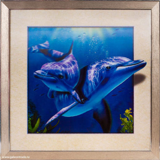 Картина 5D 40х40 003 Дельфины / ZR8210H-222411 /