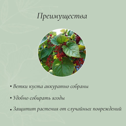 Цена за 2 шт. Кустодержатель, d=50 см, h=90 см, ножка d=1 см, металл, набор 2 шт., зелёный - Simaland фото 3