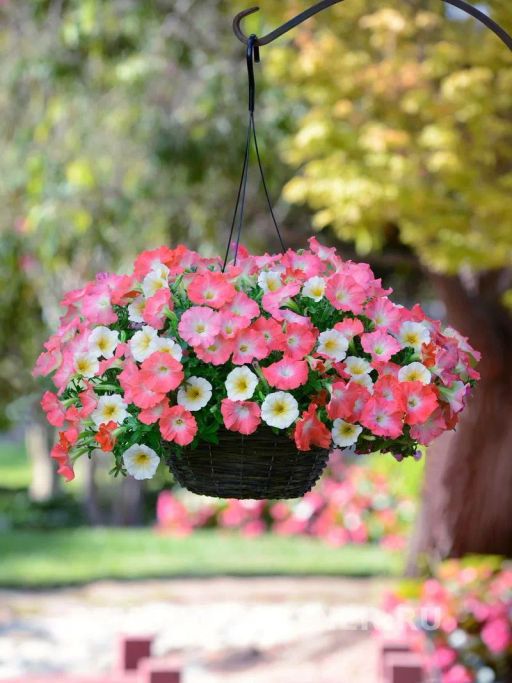 Петуния Изи Вэйв Рози Доун каскадно-ампельная розовая - Партнер фото 4