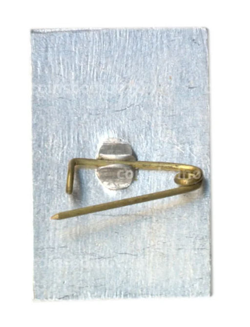 Значок Общество охраны памятников истории и культуры РСФСР