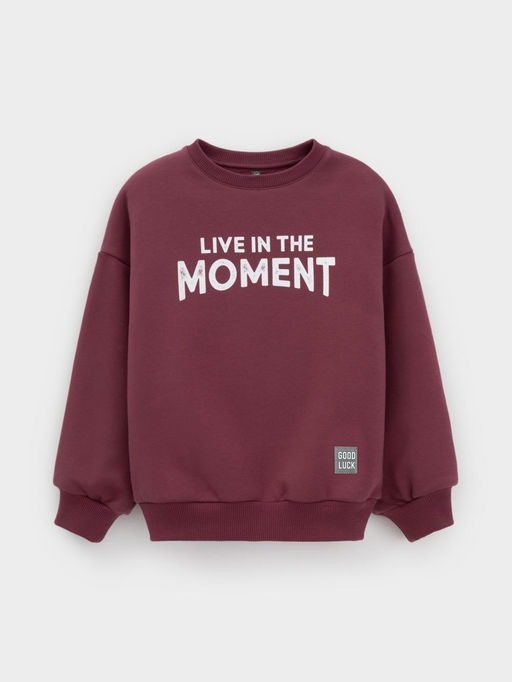 КР 302802/коричневый 1614 к632 джемпер (свитшот) для мал