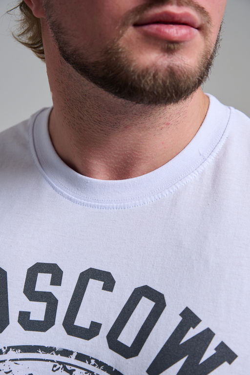 Футболка мужская 8503/1