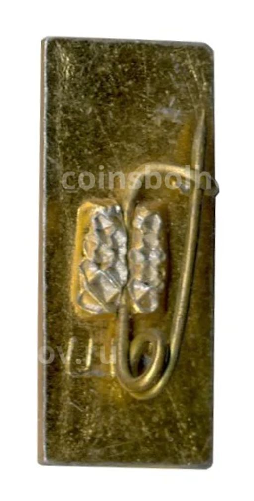 Значок Карпаты