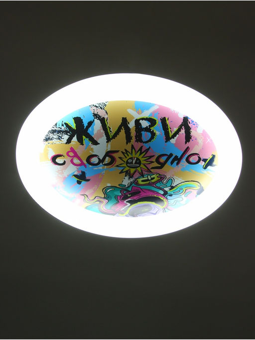 Потолочный светильник светодиодный BayerLux «Живи свободно», 120 Вт, LED, 49.5×49.5×6.5 см