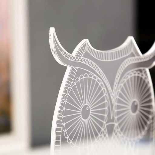 Светильник «Большой филин» LED белый от сети 9.5×13×22 см RISALUX