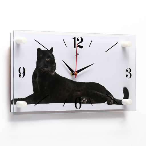 Часы настенные, интерьерные «Пантера», бесшумные, 20×40 см, белые