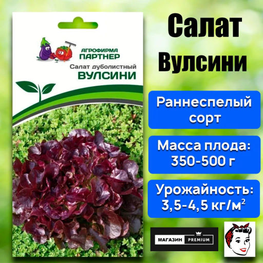 Салат дуболистный Вулсини - Партнер фото 2