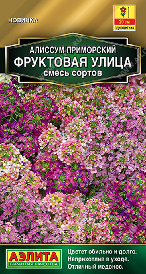 Алиссум Фруктовая улица, смесь сортов