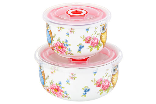 Набор 2 салатников - 13*13*6,5 см 560 мл+10,5*10,5*6 см 260 мл Совушки с плас.крыш. NEW BONE CHINA - Elan gallery фото 4