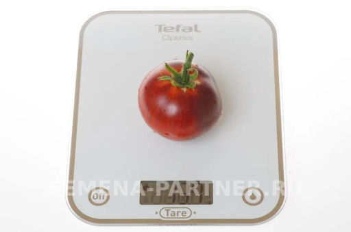 Томат Чёрная Богиня - Партнер фото 6