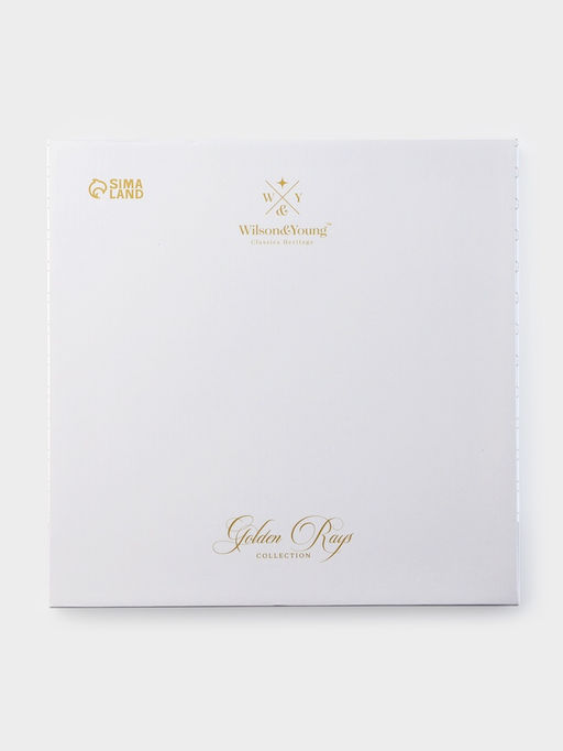 Тарелка глубокая WY Golden rays, 290 мл, d=22 см, фарфор, белая