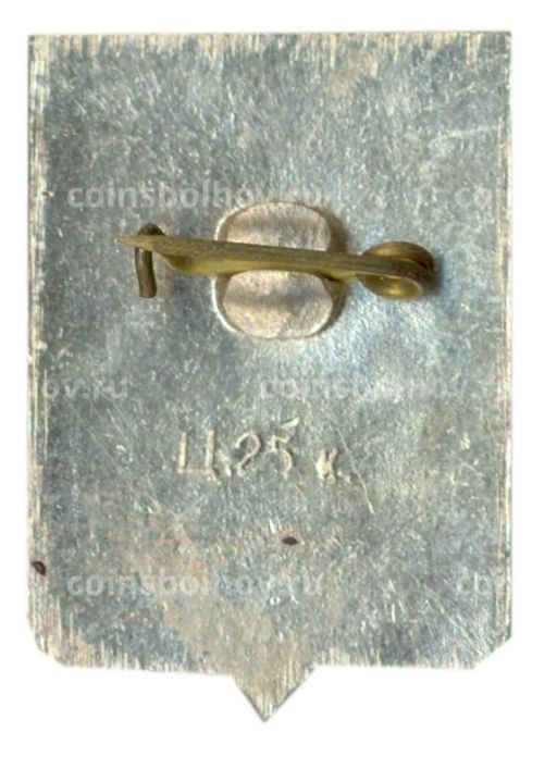 Значок Устюжна