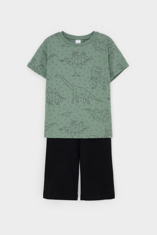К 1614/динозавры на зеленом,черный пижама дет