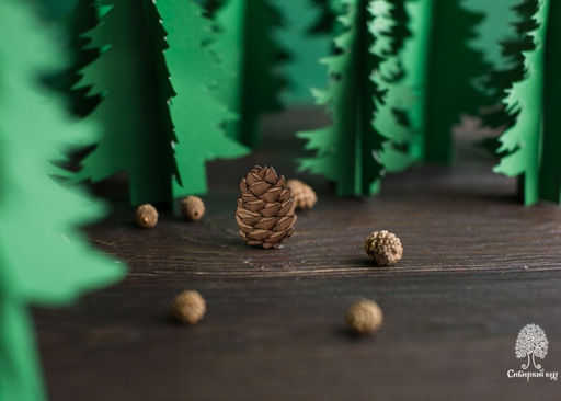 Деревянная брошь Шишка - Сибирский кедр фото 2
