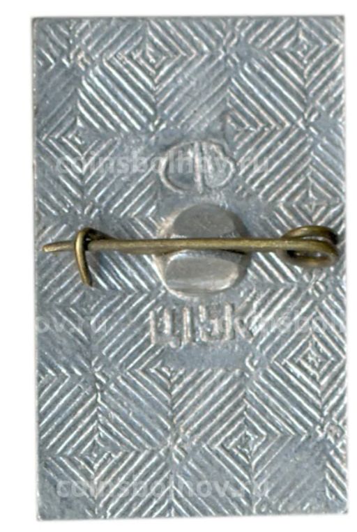 Значок Волгоград - Слава