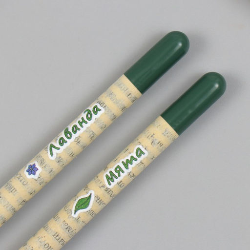 Набор для выращивания, карандаши подарочные «Мята и Лаванда», mini, простые чернографитные, 2 шт.