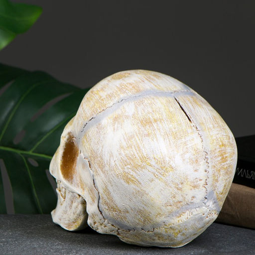 Копилка для денег «Череп», полистоун, кость, 16×13×22 см