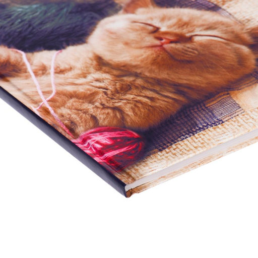 Дневник школьный для 1-4 классов, «Котёнок», твёрдая обложка 7БЦ, глянцевая ламинация, 48 листов