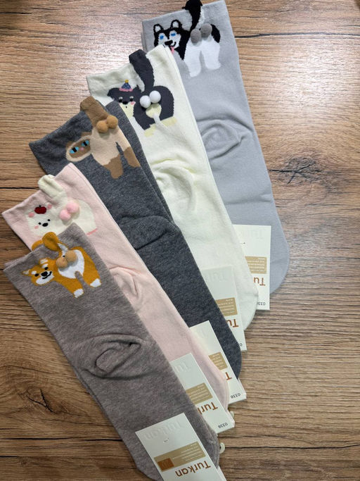 BK1042 Носки, 5 пар МУЛЬТИЦВЕТ