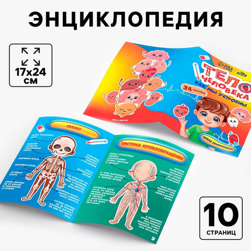 Обучающий набор Тело человека, рамка-вкладка и книга с наклейками - Лесная мастерская фото 3