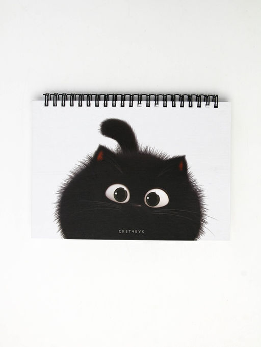 Скетчбук в твердой обложке на гребне А5 80 л 100 г/м "Котик"