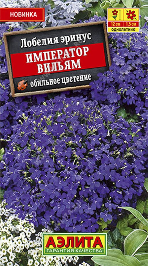 Лобелия Император Вильям (2026)