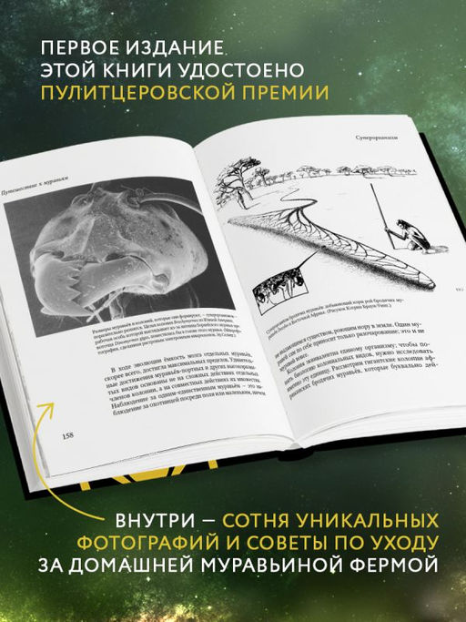 Путешествие к муравьям