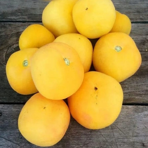 7110T Томат Жёлтая мишень 10шт