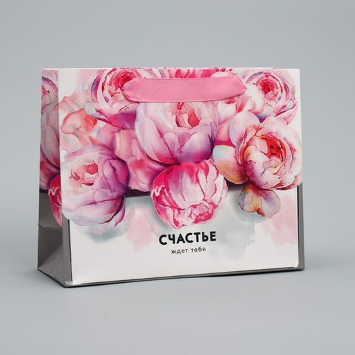 Пакет ламинированный горизонтальный Счастье ждёт тебя 22 17,5 8 см - Дарите счастье фото 5