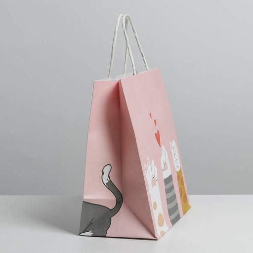 Пакет подарочный Киса, 22 х 22 х 11 см - Дарите счастье фото 3