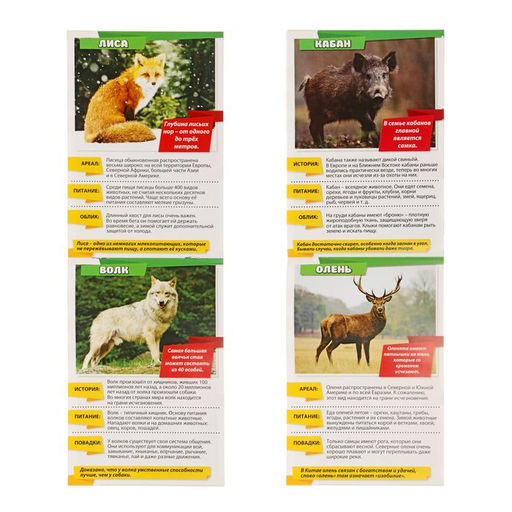 Мини-энциклопедии Мир животных, 8 шт. по 20 стр. - Буква-ленд фото 5