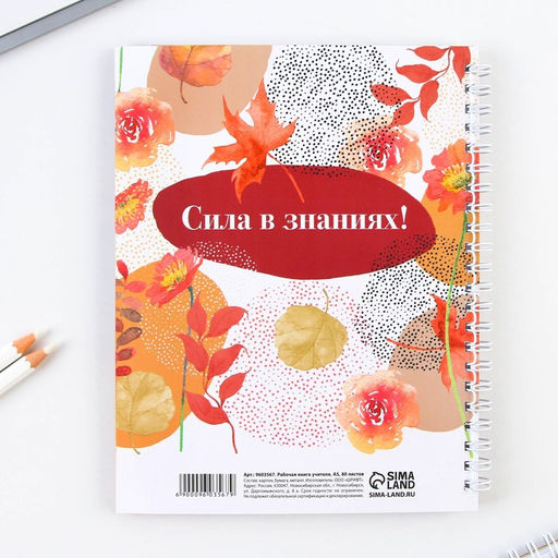 Журнал успеваемости на год, А5, 80 л., мягкая обложка «Классный учитель»