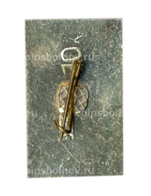 Значок Карпаты