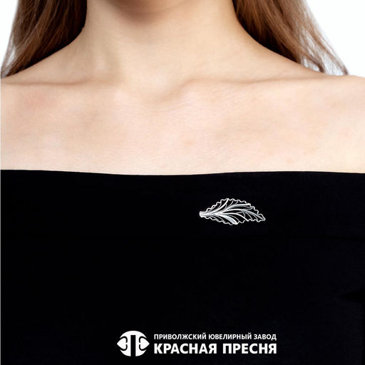 БРОШЬ 13015670