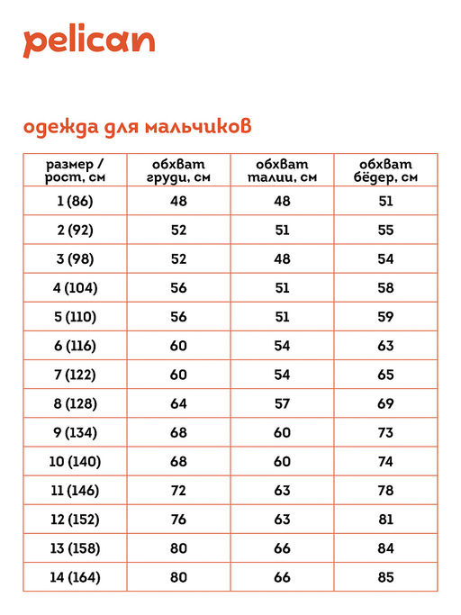 Pelican BFT3362 Футболка для мальчиков