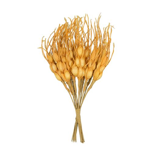 Blumentag VDF-22 Декоративные элементы 6 х 1 шт. 14.5 см 01 колосок