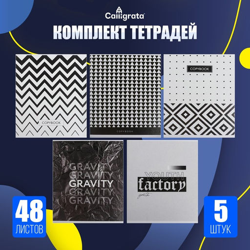 Комплект тетрадей из 5 штук, 48 листов в клетку Calligrata ЧБ. Геометрия, обложка мелованный картон, блок офсет  фото 3