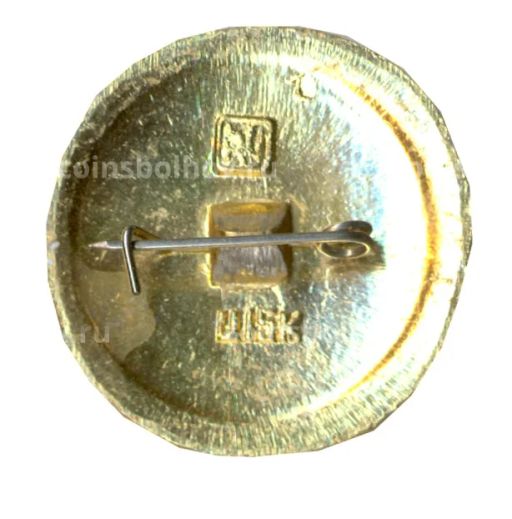 Значок Золотое кольцо Муром