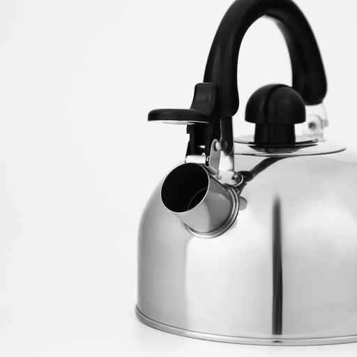 Чайник Доляна «Чёрная ночь», 2 л, со свистком, индукция, нержавеющая сталь, хромированный