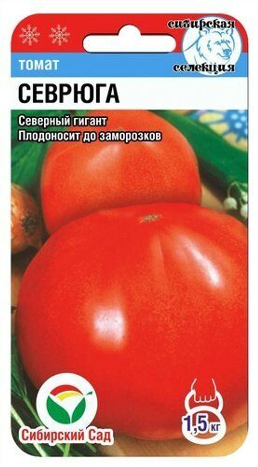 Севрюга томат 20шт (сс)