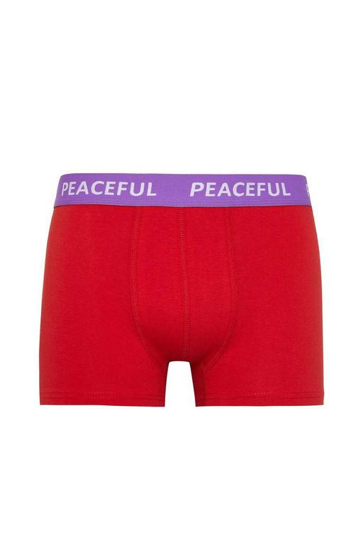 Комплект боксеров стандартной посадки (3 шт.) - Defacto фото 10