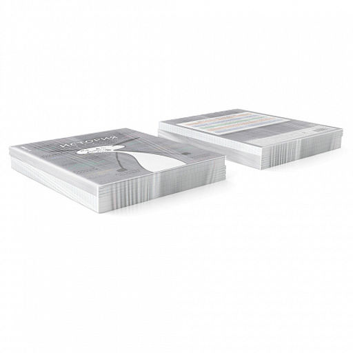 Цена за 5 шт. Тетрадь общая ученическая с пластиковой обложкой на скобе ErichKrause Чубрик, История, 48 листов, клетка  фото 3