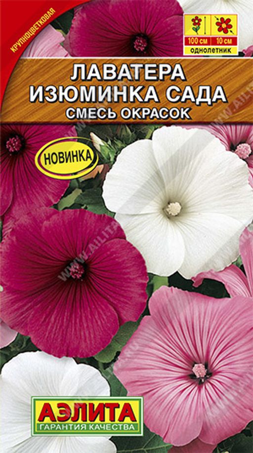 Лаватера Изюминка сада, смесь сортов