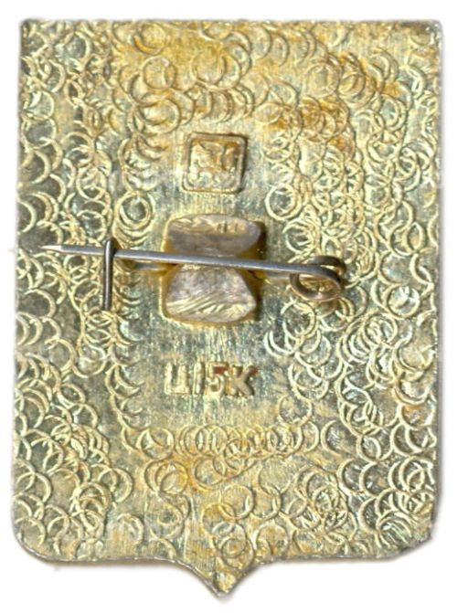 Значок Верхнеднепровск