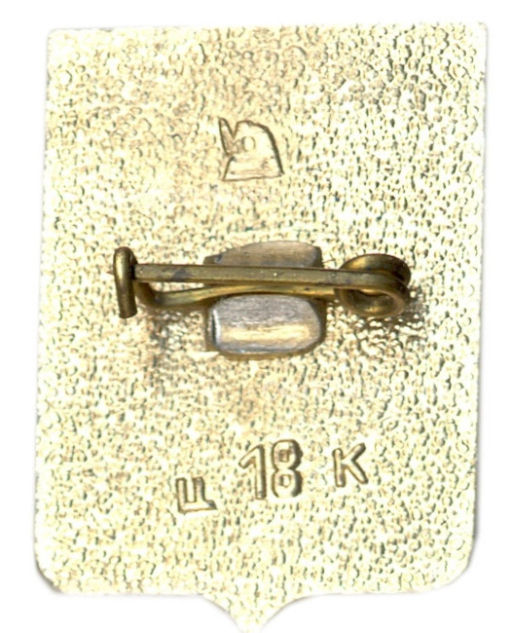 Значок Лубны