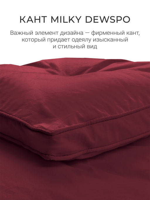 Одеяло Cloud Wine 175х200 теплое 300г/м2 ЕС-5827 - Espera фото 10