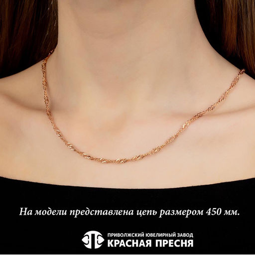ЦЕПЬ РДС5р