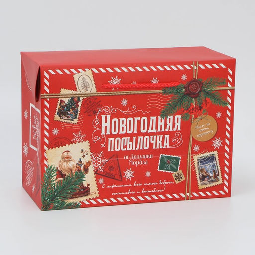 Цена за 2 шт. Пакет-коробка подарочный новогодний Посылочка, 28?20?13 см