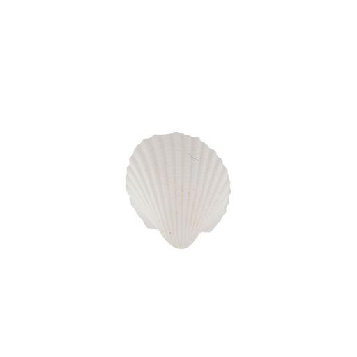 Blumentag / Zlatka DRF-031 Ракушки морские 100 г  5 г 1.9 см Clam Rose